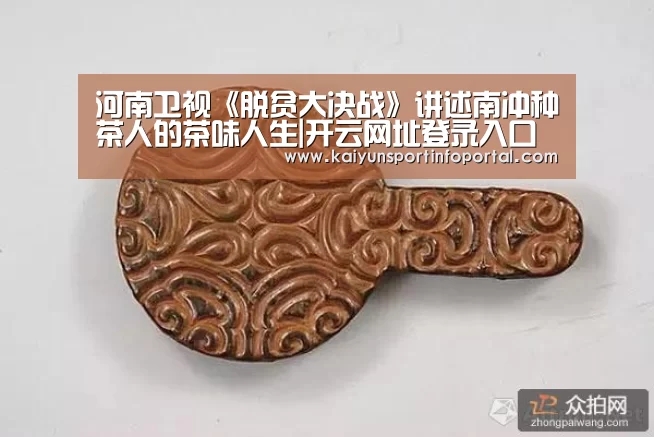 河南卫视《脱贫大决战》讲述南冲种茶人的茶味人生|开云网址登录入口(图1) 开云官方登录