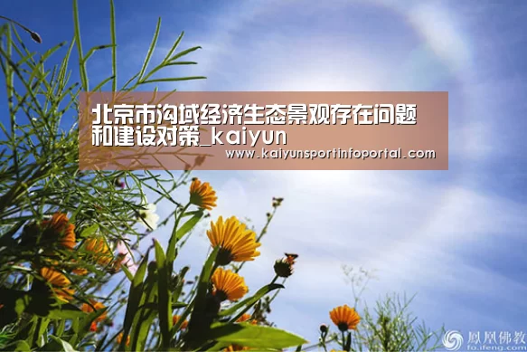 开云平台登录入口