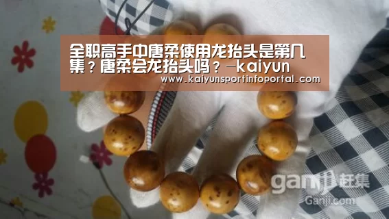 开云网址登录入口