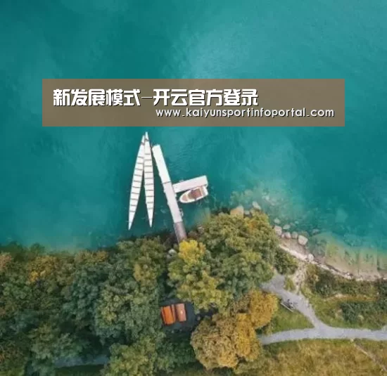 新发展模式-开云官方登录(图1)
