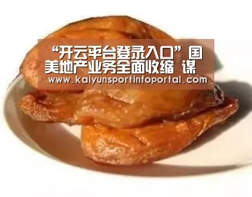 “开云平台登录入口”国美地产业务全面收缩 谋划转型做物流地产(图2) 开云网址登录入口