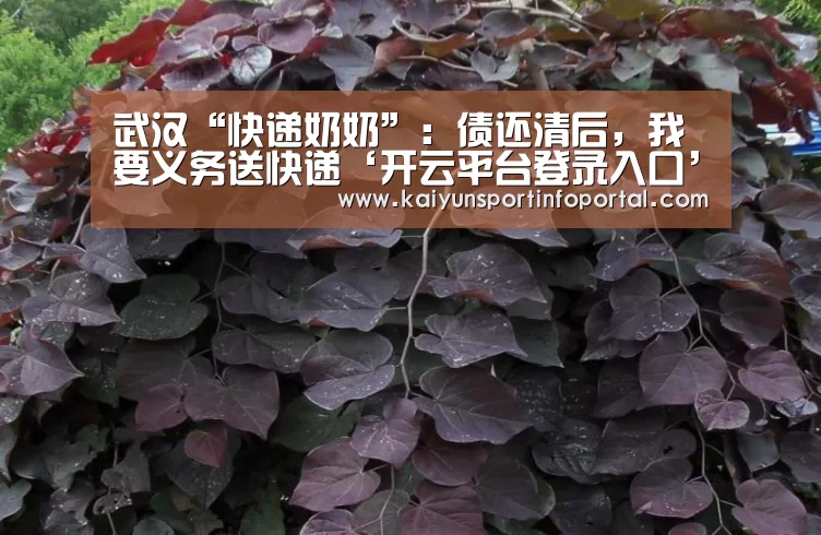 武汉“快递奶奶”:债还清后,我要义务送快递‘开云平台登录入口’(图1) 开云网址登录入口